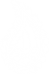 icono blanco roders.png